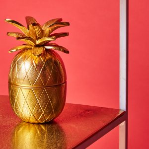 Pineapple quirky home decor