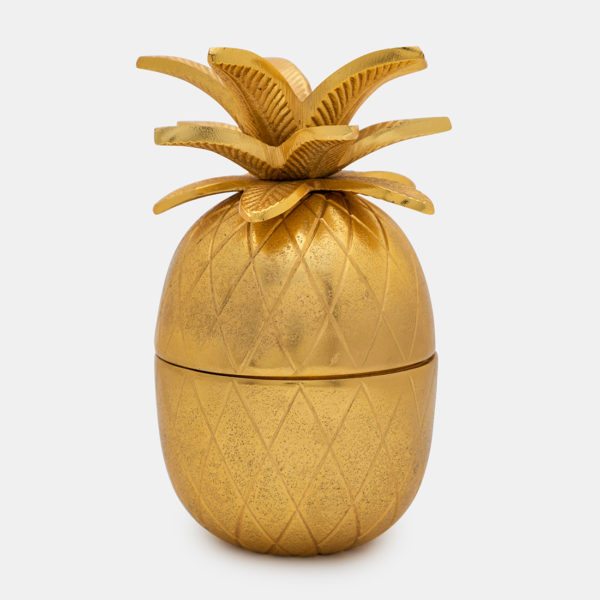 Pineapple quirky box