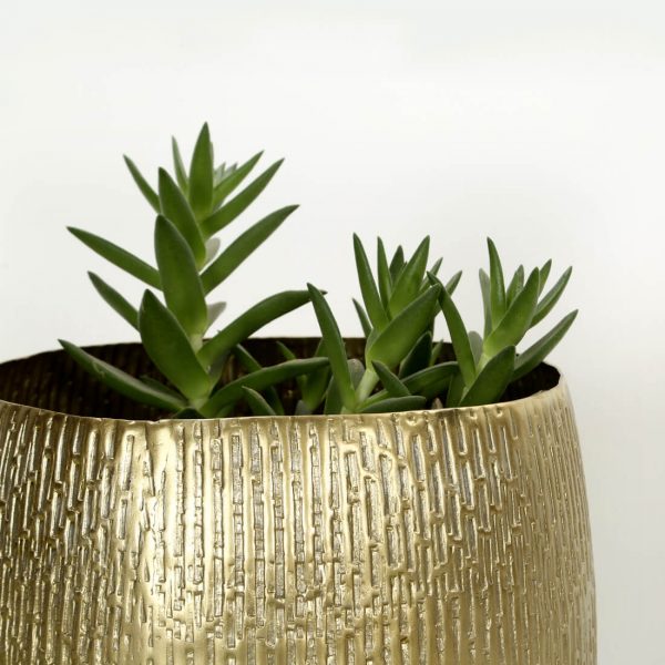 brass colour planter : topbrass