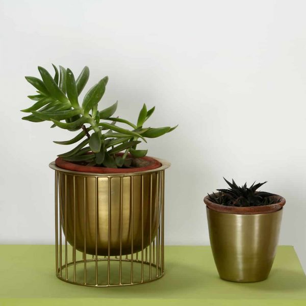 Indoor Planter : Topp brass