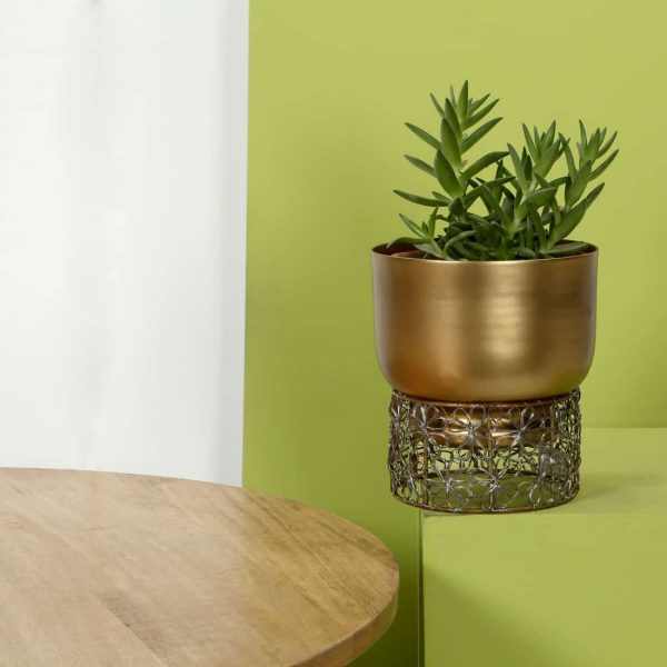 Metal Planter indoors : topbrass